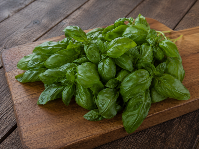 Basil Leaves