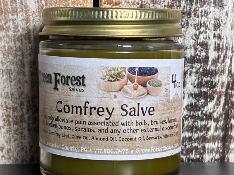 Comfrey Salve: 4oz
