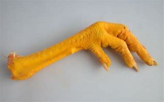 Turkey Feet