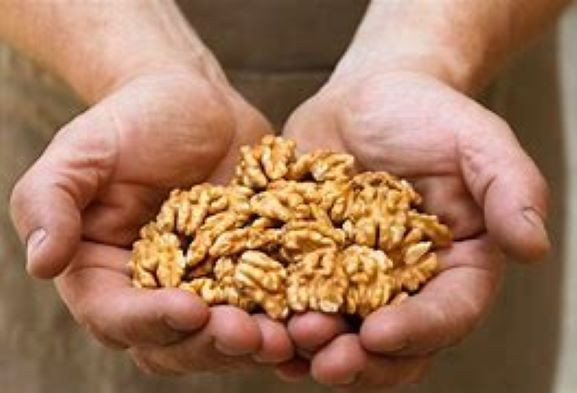English Walnuts: organic, and soaked