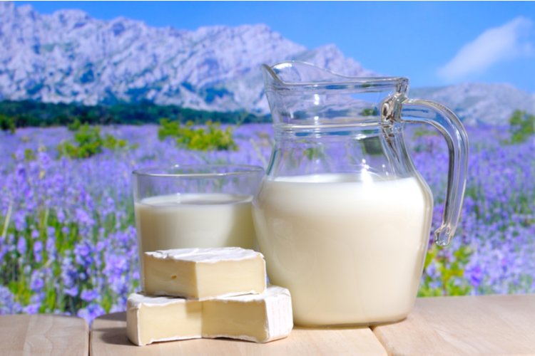 Cow Milk: 1/2 gallon in GLASS - Image 2